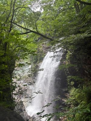 乃木風香の写メ日記｜ハールブルク 吉原高級店ソープ
