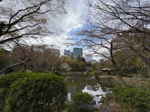 乃木風香の写メ日記｜ハールブルク 吉原高級店ソープ