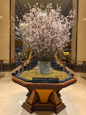 乃木風香の写メ日記｜ハールブルク 吉原高級店ソープ