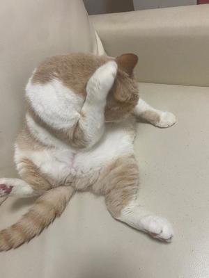 叶 麗花の写メ日記｜ハールブルク 吉原高級店ソープ