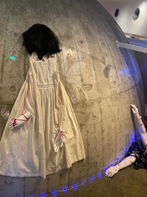 叶 麗花の写メ日記｜ハールブルク 吉原高級店ソープ