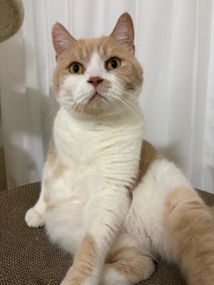 叶 麗花の写メ日記｜ハールブルク 吉原高級店ソープ