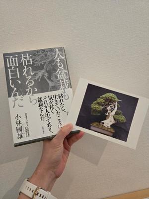 希咲由真の写メ日記｜ハールブルク 吉原高級店ソープ