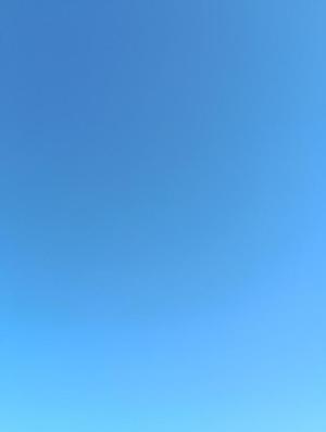 希咲由真の写メ日記｜ハールブルク 吉原高級店ソープ