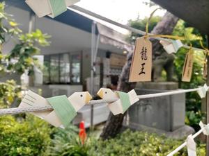 五月あいりの写メ日記｜ハールブルク 吉原高級店ソープ