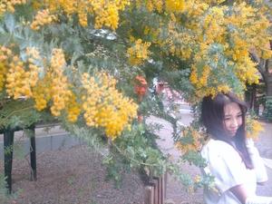 五月あいりの写メ日記｜ハールブルク 吉原高級店ソープ