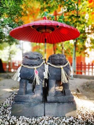五月あいりの写メ日記｜ハールブルク 吉原高級店ソープ