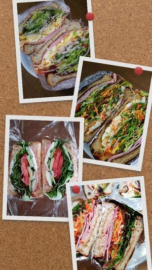 白鷺さらの写メ日記|ハールブルク 吉原高級店ソープ