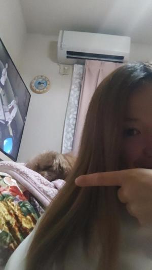 白鷺さらの写メ日記｜ハールブルク 吉原高級店ソープ