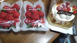 白鷺さらの写メ日記｜ハールブルク 吉原高級店ソープ