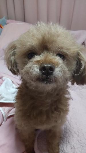 白鷺さらの写メ日記｜ハールブルク 吉原高級店ソープ