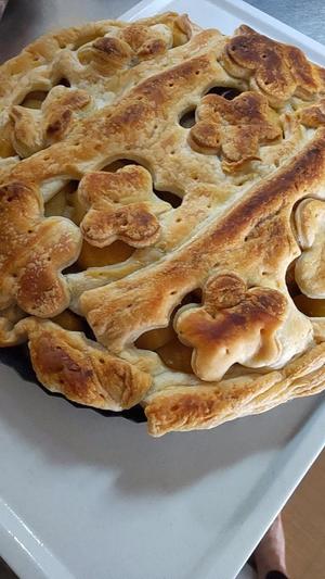 白鷺さらの写メ日記｜ハールブルク 吉原高級店ソープ