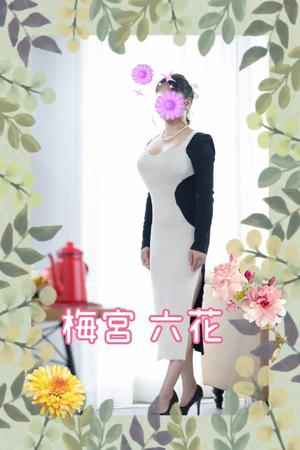 梅宮六花の写メ日記｜ハールブルク 吉原高級店ソープ