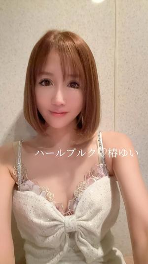 椿 ゆいの写メ日記｜ハールブルク 吉原高級店ソープ