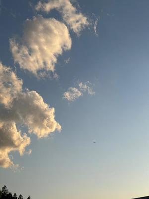 新妻涼子の写メ日記｜ハールブルク 吉原高級店ソープ