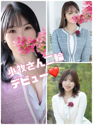 新妻涼子の写メ日記｜ハールブルク 吉原高級店ソープ