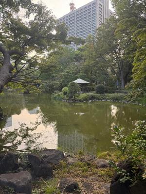 ひかりの写メ日記|秘書室 吉原高級店ソープ