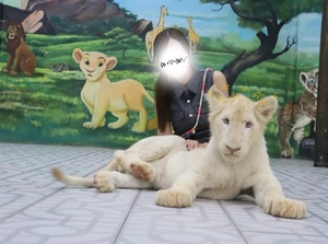 ゆずの写メ日記｜女帝 吉原高級店ソープ