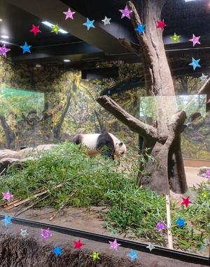 紬妃の写メ日記｜ラビアンローズ 吉原高級店ソープ