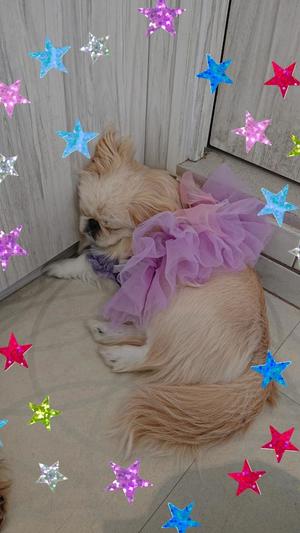 紬妃の写メ日記｜ラビアンローズ 吉原高級店ソープ