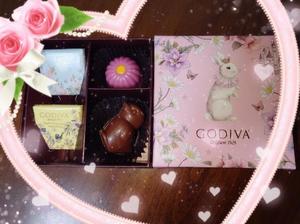 静香の写メ日記｜ラビアンローズ 吉原高級店ソープ