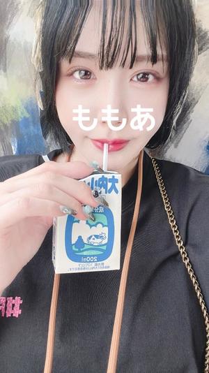 桃叶の写メ日記｜ラビアンローズ 吉原高級店ソープ