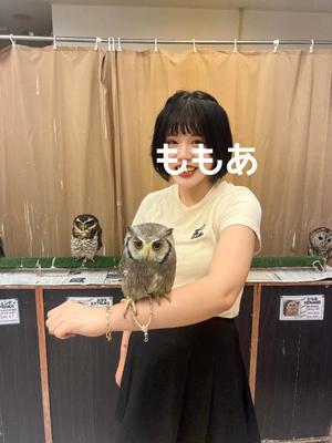 桃叶の写メ日記｜ラビアンローズ 吉原高級店ソープ