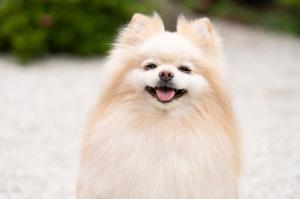 りとの写メ日記｜ラビアンローズ 吉原高級店ソープ