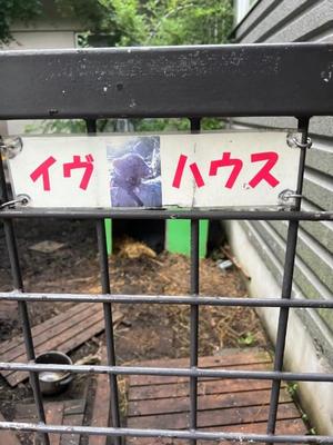 イヴの写メ日記｜ラビアンローズ 吉原高級店ソープ