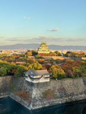 リオナの写メ日記｜ラビアンローズ 吉原高級店ソープ