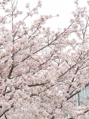 リオナの写メ日記｜ラビアンローズ 吉原高級店ソープ