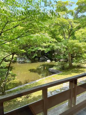 リオナの写メ日記｜ラビアンローズ 吉原高級店ソープ