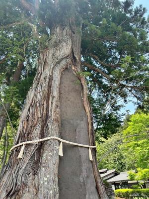 ななみの写メ日記｜ラビアンローズ 吉原高級店ソープ