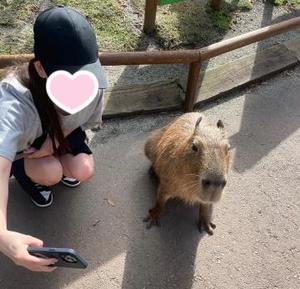 メイの写メ日記｜ラビアンローズ 吉原高級店ソープ