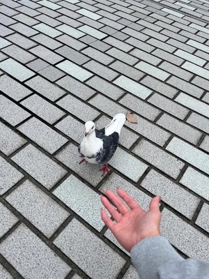 コトリの写メ日記｜ラブ&ピース 吉原格安店ソープ