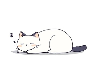 ツクシの写メ日記｜ラブ&ピース 埼玉県・大宮格安店ソープ