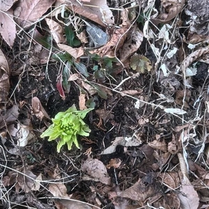 ナギの写メ日記｜ラブ&ピース 吉原格安店ソープ