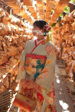 ユメミの写メ日記｜プラチナム～PLATINUM～ 吉原格安店ソープ