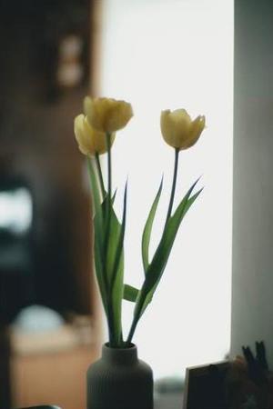 ななせの写メ日記｜ルピナス 吉原高級店ソープ