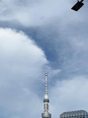 まつりの写メ日記｜ルピナス 吉原高級店ソープ