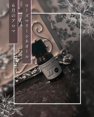 早乙女みれいの写メ日記｜リュクス～LUXE～ 吉原高級店ソープ