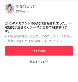愛沢せれなの写メ日記｜リュクス～LUXE～ 吉原高級店ソープ