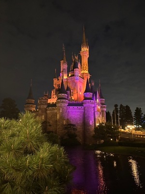 Kokonaの写メ日記|ラグジュアリー 吉原高級店ソープ