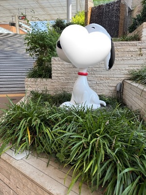 Anriの写メ日記｜ラグジュアリー 吉原高級店ソープ