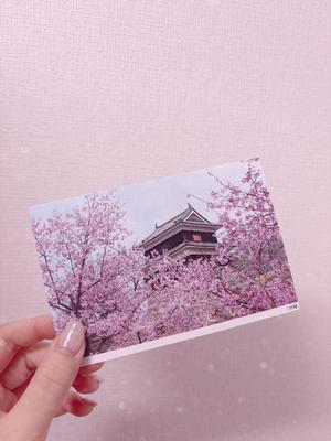 Anriの写メ日記|ラグジュアリー 吉原高級店ソープ