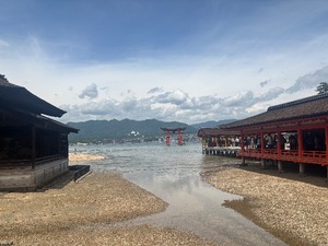 Hikariの写メ日記｜ラグジュアリー 吉原高級店ソープ