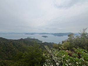 Hikariの写メ日記｜ラグジュアリー 吉原高級店ソープ