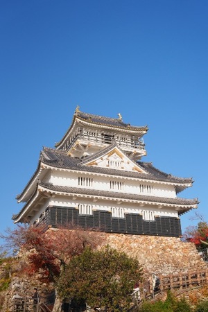 Ioriの写メ日記｜ラグジュアリー 吉原高級店ソープ