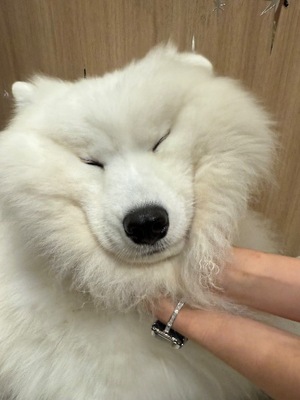 Hiyoriの写メ日記｜ラグジュアリー 吉原高級店ソープ