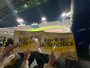 Hiyoriの写メ日記|ラグジュアリー 吉原高級店ソープ